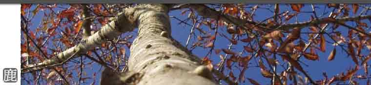 優良鹿茸的專賣鹿場