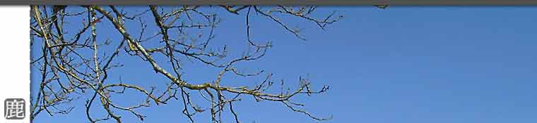 優良鹿茸的專賣鹿場