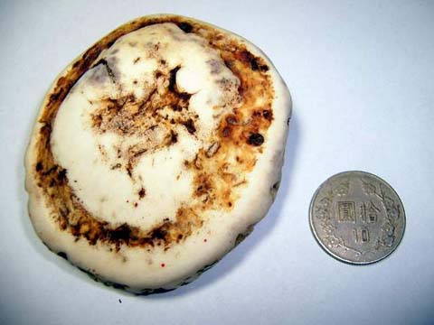 全硬化的鹿茸稱作鹿角